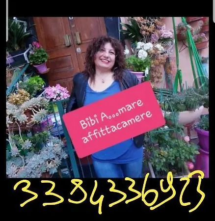 Affittacamere Bibi A...mare * Finale Ligure