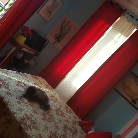 Guest house Affittacamere Bibi A...mare Finale Ligure
